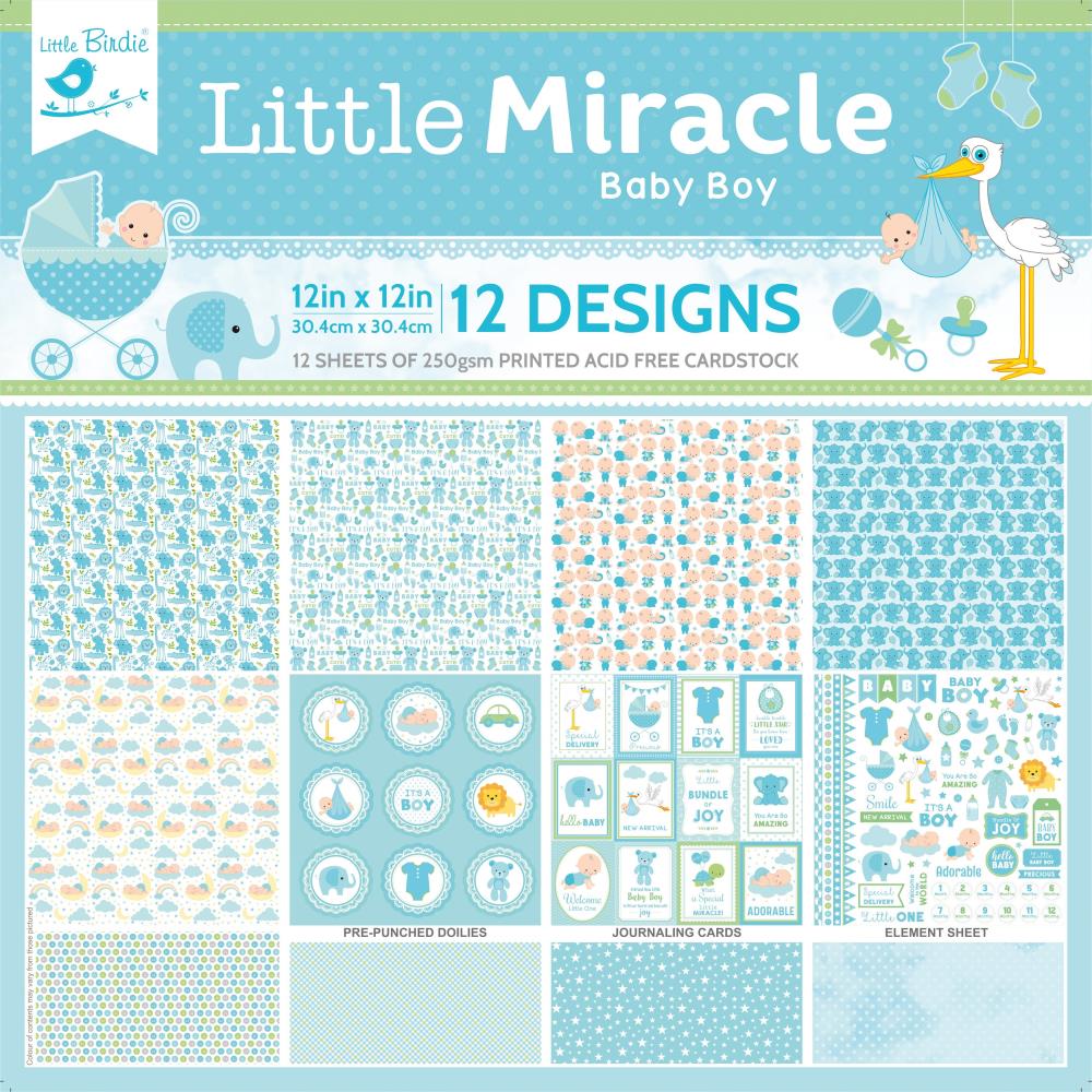 Little Birdie, Little Miracle Baby Boy, 12x12 Paper Pack