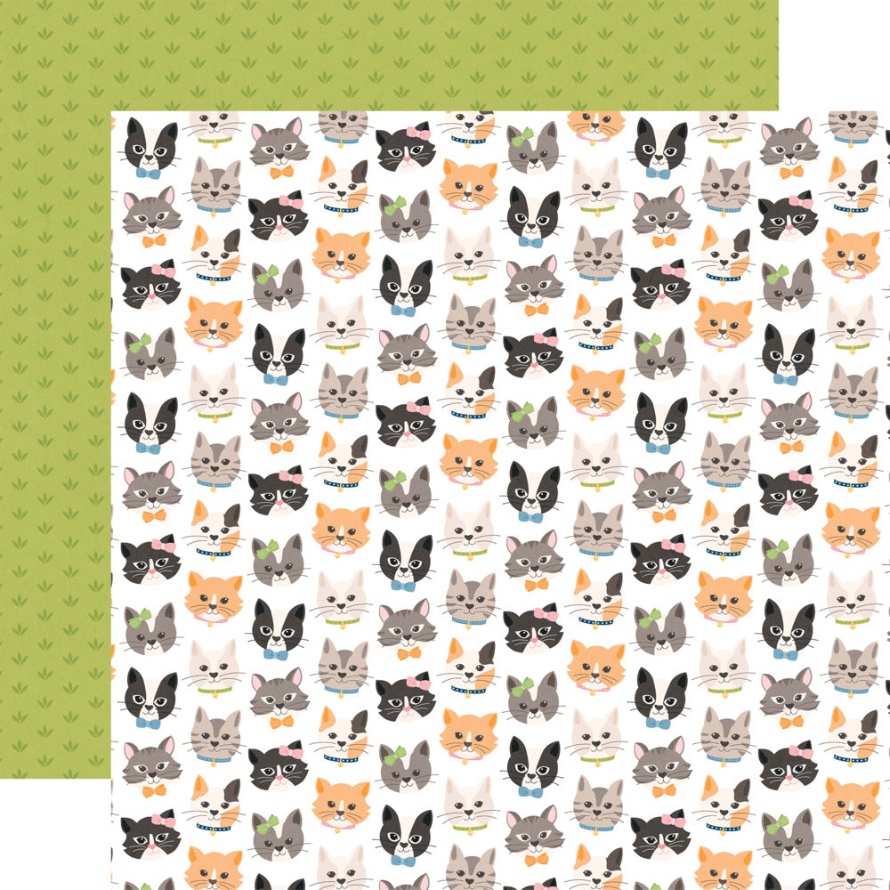 Echo Park, 12X12 Patterned Paper, Cat Lover - Live Love Meow