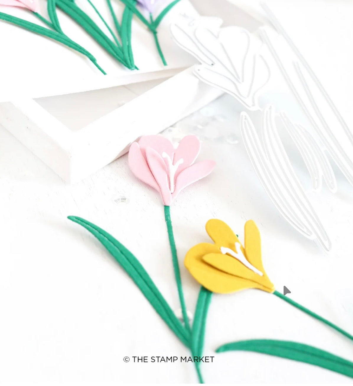 The Stamp Market, Cutest Crocus Die Cut