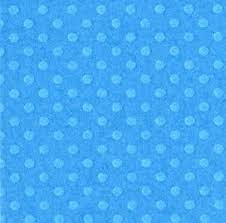 American Crafts; Bazzill, 12x12 Cardstock, Dotted Swiss;  Surf’s Up