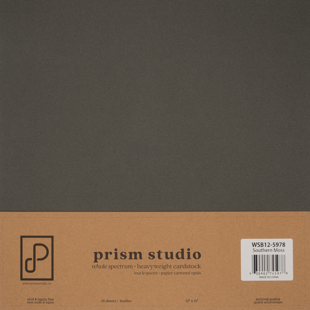 Prism Studio Whole Spectrum Loose 12 x 12 Cardstock; Southern Moss