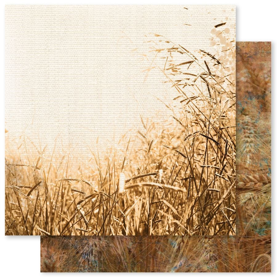 Paper Rose, 12X12 Patterned Paper, Grunge Landscapes 1.0 C