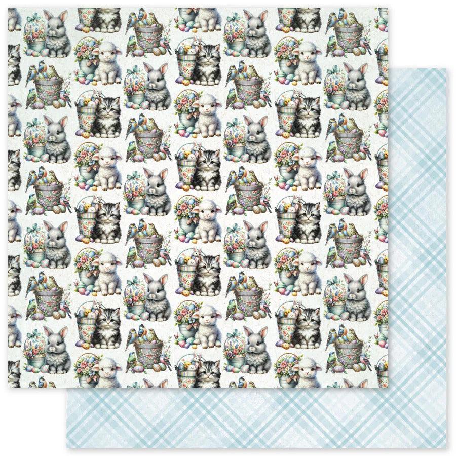 Paper Rose, 12X12 Patterned Paper, Easter Time Patterns C