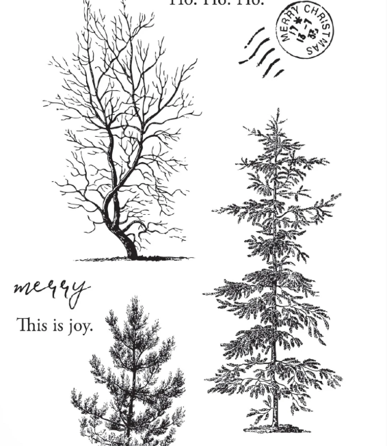 Arden Creative Studio, Clear Stamp Set 4x8, Winter Etchings