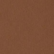 American Crafts, Bazzill 12x12 Cardstock, Cinnamon Sticks