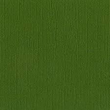 American Crafts, Bazzill 12x12 Cardstock, Ivy