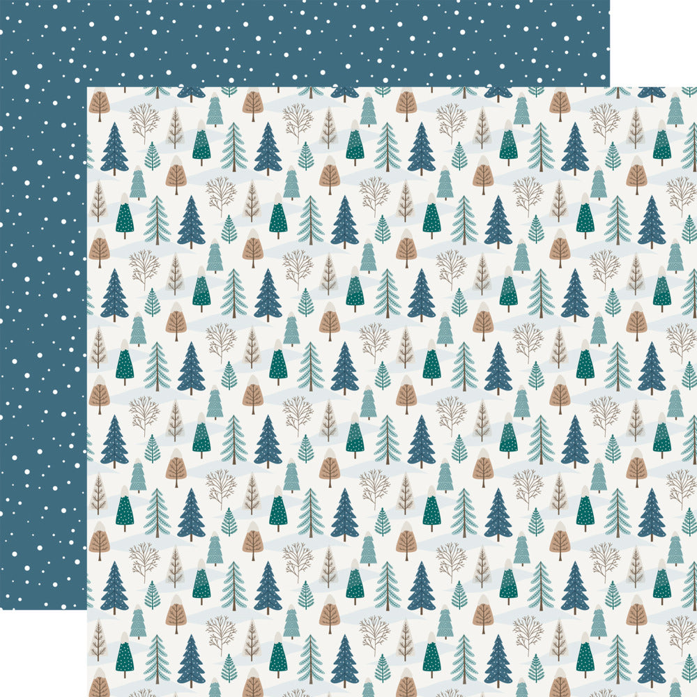 Echo Park, 12X12 Patterned Paper, Wonderful Winter Days - Winter Landscape
