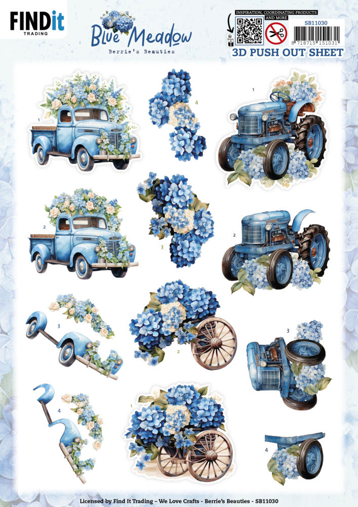 Find It, Berries Beauties 3D Push Out, Blue Meadow - Transport SB11030
