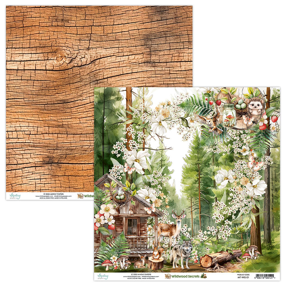 Mintay Papers, Wildwood Secrets 01