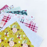 Catherine Pooler, Holiday Spice 6x6 Paper pad