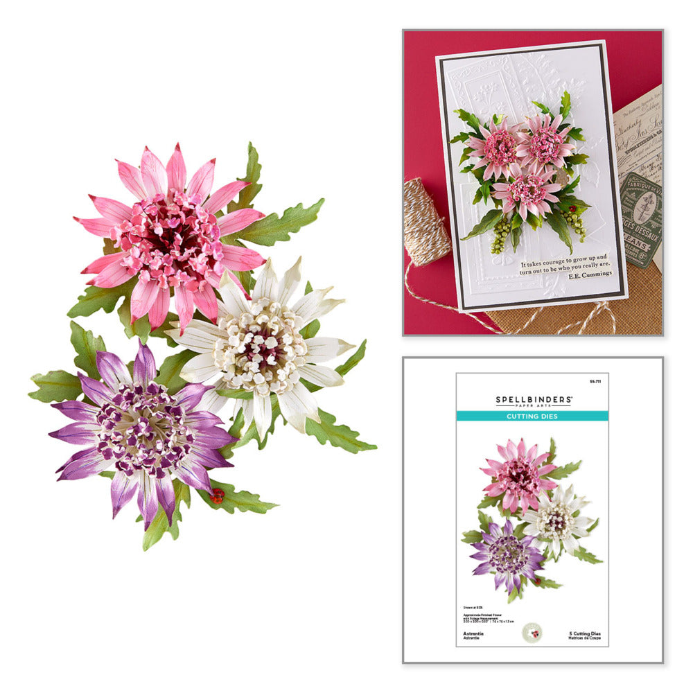 Spellbinders,  Die, Astrantia Pre-order