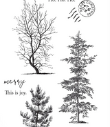 Arden Creative Studio, Clear Stamp Set 4x8, Winter Etchings