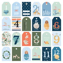 Load image into Gallery viewer, Echo Park Welcome Baby Boy -Boy Tag
